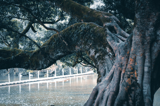 云水谣景区