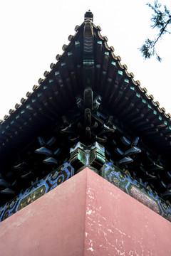 北京天坛公园