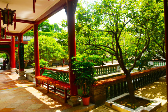 庭院風景