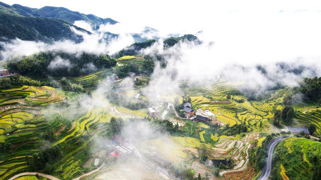 梯田云海秋景航拍高清4K