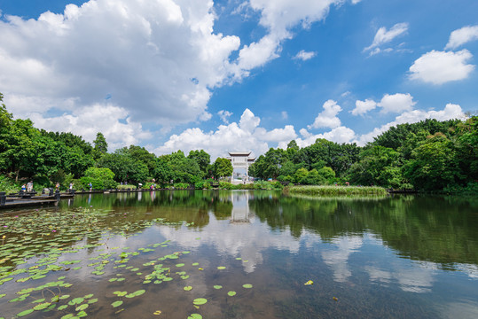 广州海珠湿地公园风景