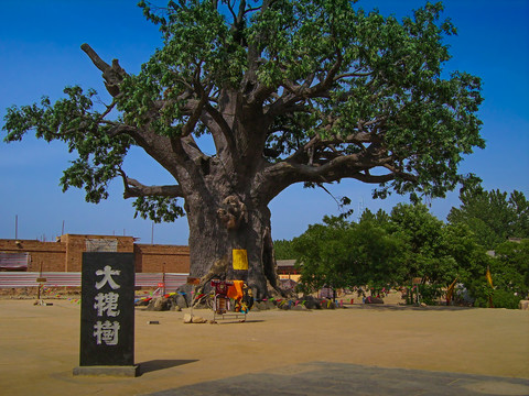 洪洞大槐树寻根祭祖园