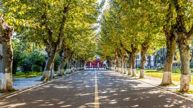 四川大学