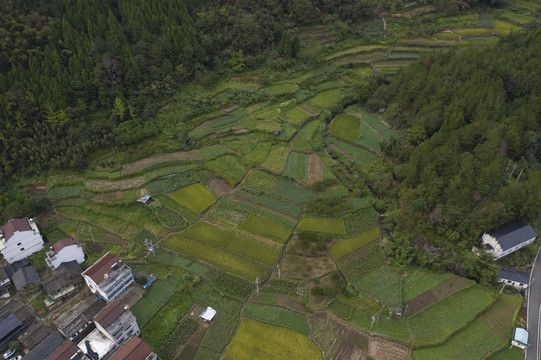 航拍仙居山水