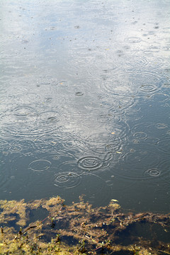 雨滴水纹