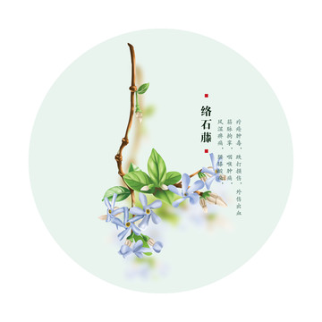 絡石藤