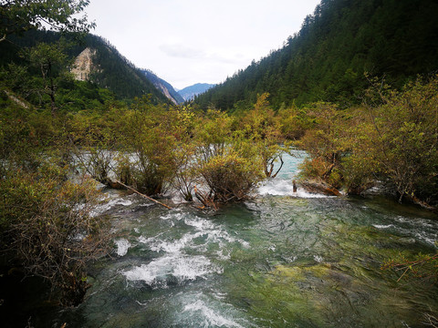 高山流水