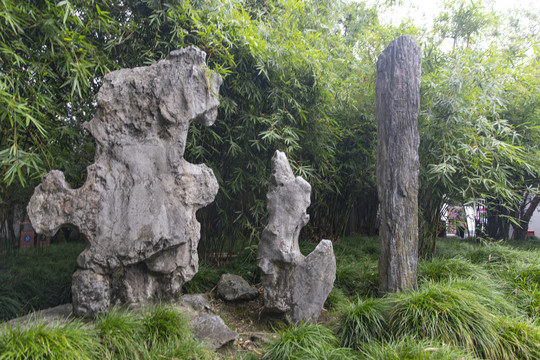 醉白池太湖石