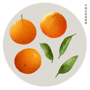 手繪橙子