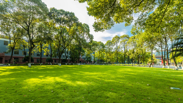 四川大学