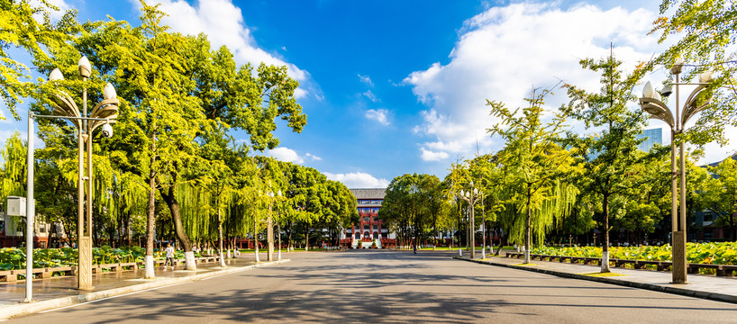 四川大学行政楼