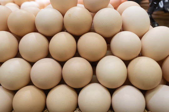 超市货架上待销售的新鲜鸡蛋