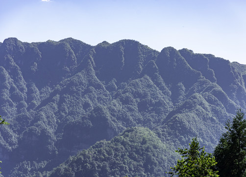 绿水青山