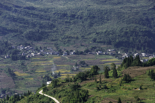 乡村风光