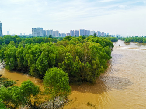 大洪水