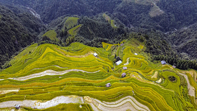 加榜梯田