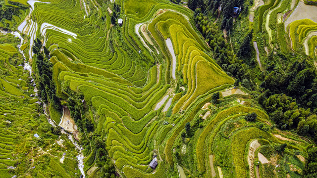 加榜梯田