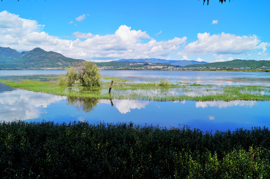 丽江拉市海湿地公园