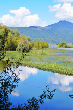 丽江拉市海湿地公园