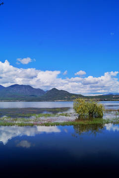 丽江拉市海湿地公园