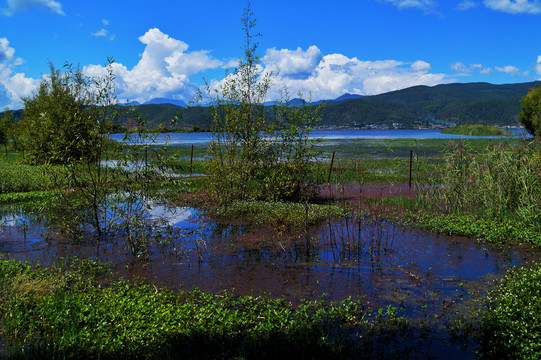 丽江拉市海湿地公园