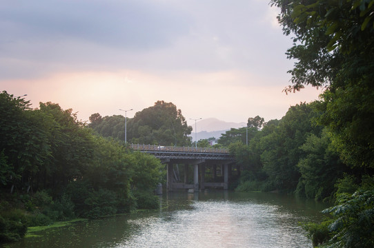 兰溪湿地公园河道