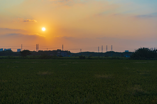 夕阳下的田野