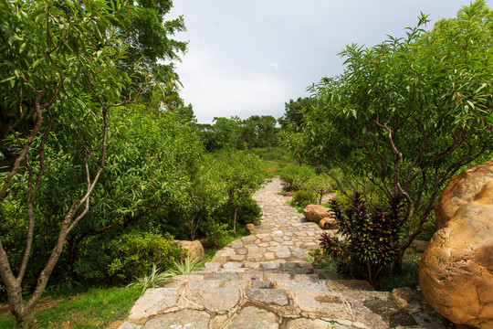 南宁青秀山风景区桃花岛