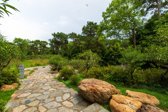 南宁青秀山风景区桃花岛