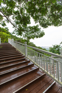 南宁青秀山旅游风景区阶梯