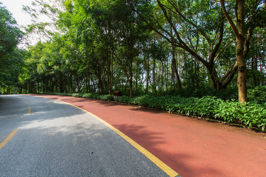 南宁青秀山风景区休闲步道