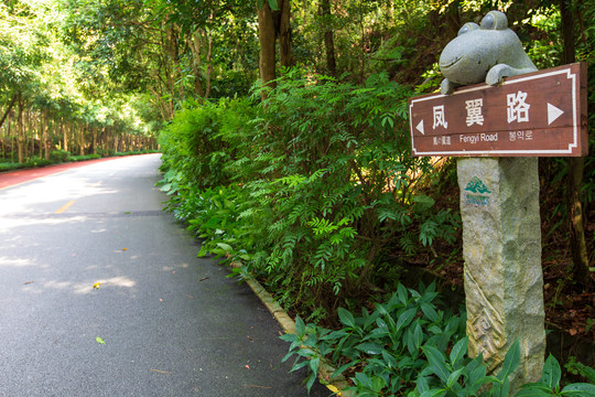 南宁青秀山风景区休闲步道