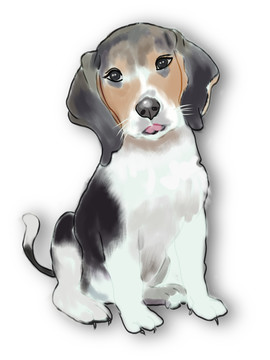比格獵犬