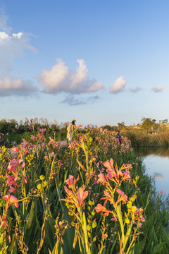 昆明滇池湿地草海公园自然风光