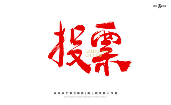 投票