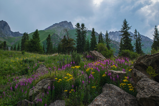 深山