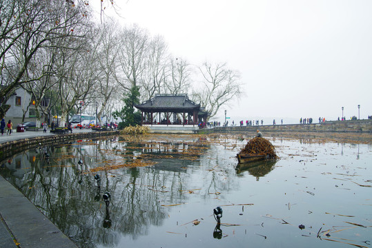 浙江杭州西湖自然风光