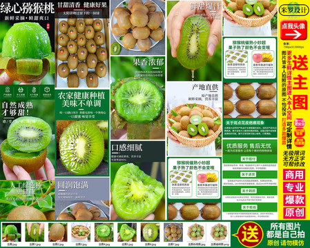 綠心獼猴桃詳情徐香獼猴桃詳情頁(yè)