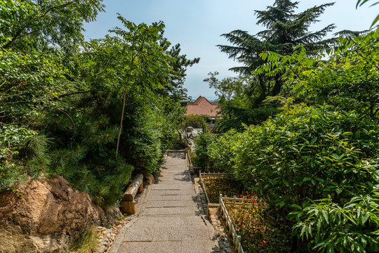 登山道路