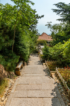 登山道路