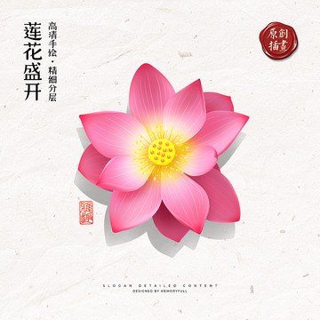 手繪荷花蓮花