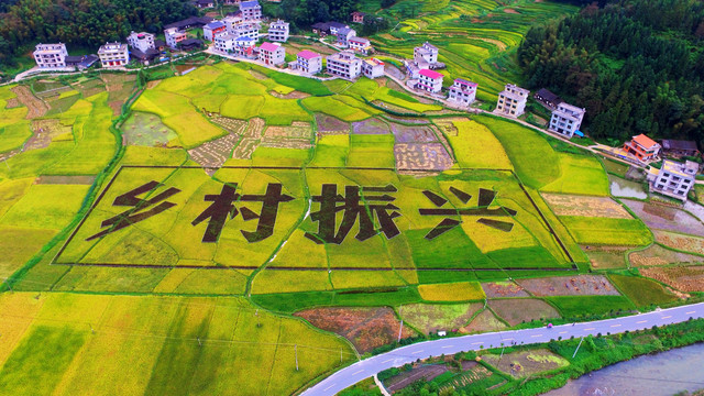 乡村振兴艺术稻田素材