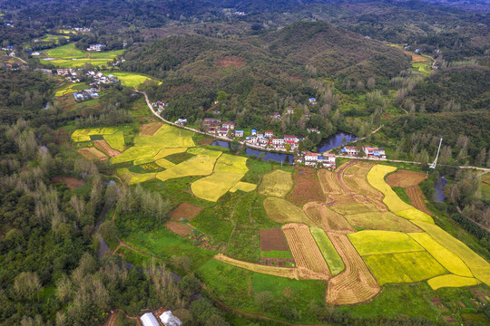 鸟瞰山沟金色田野