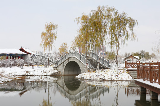 雪景