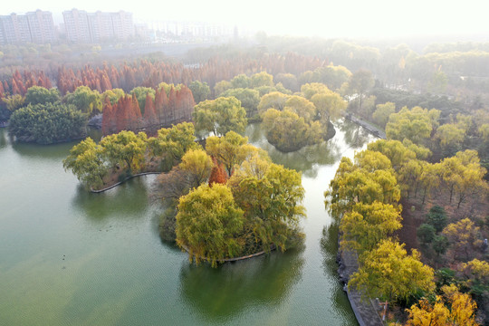 洛阳隋唐城遗址植物园