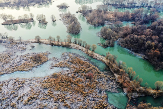 湿地风光