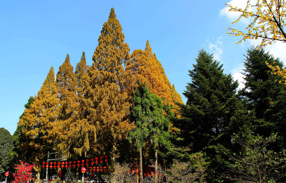 江西井冈山