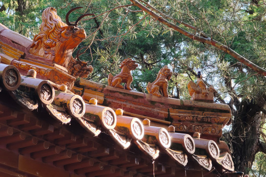 北京颐和园广润灵雨祠