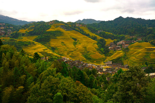 群山梯田