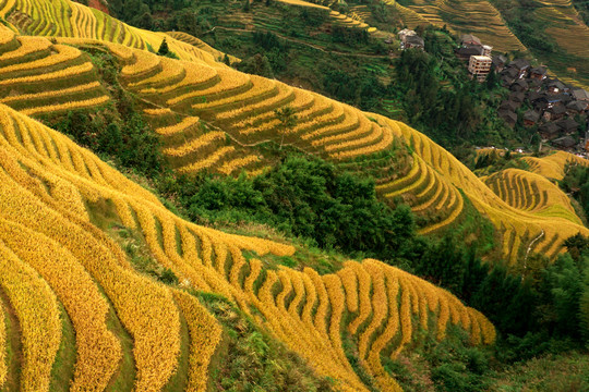 山岭梯田